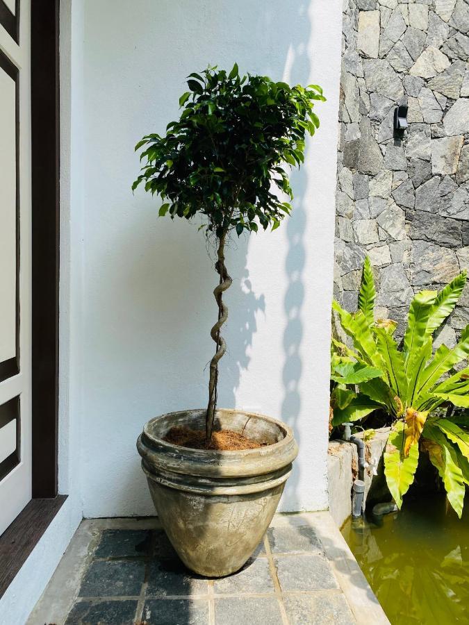 Thaprobana Villa Tangalle Luaran gambar